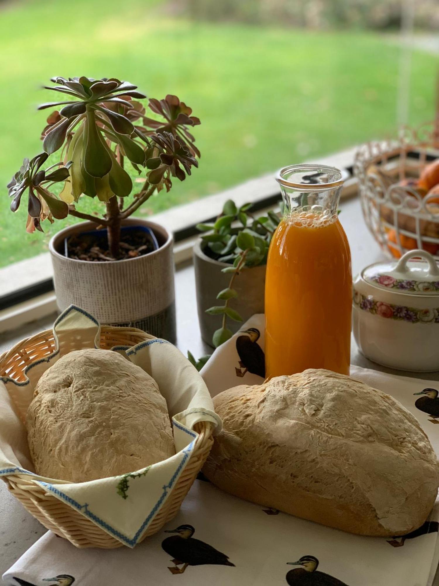 Beechmont Cedarview Bed & Breakfast المظهر الخارجي الصورة