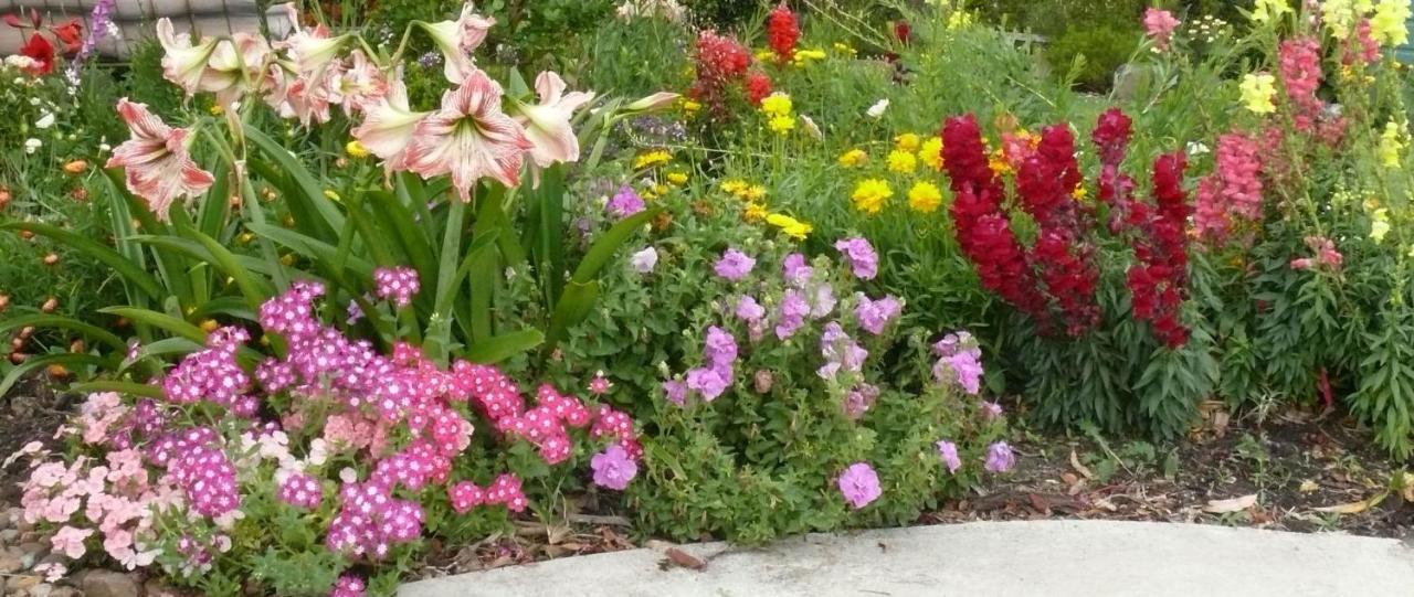 Beechmont Cedarview Bed & Breakfast المظهر الخارجي الصورة