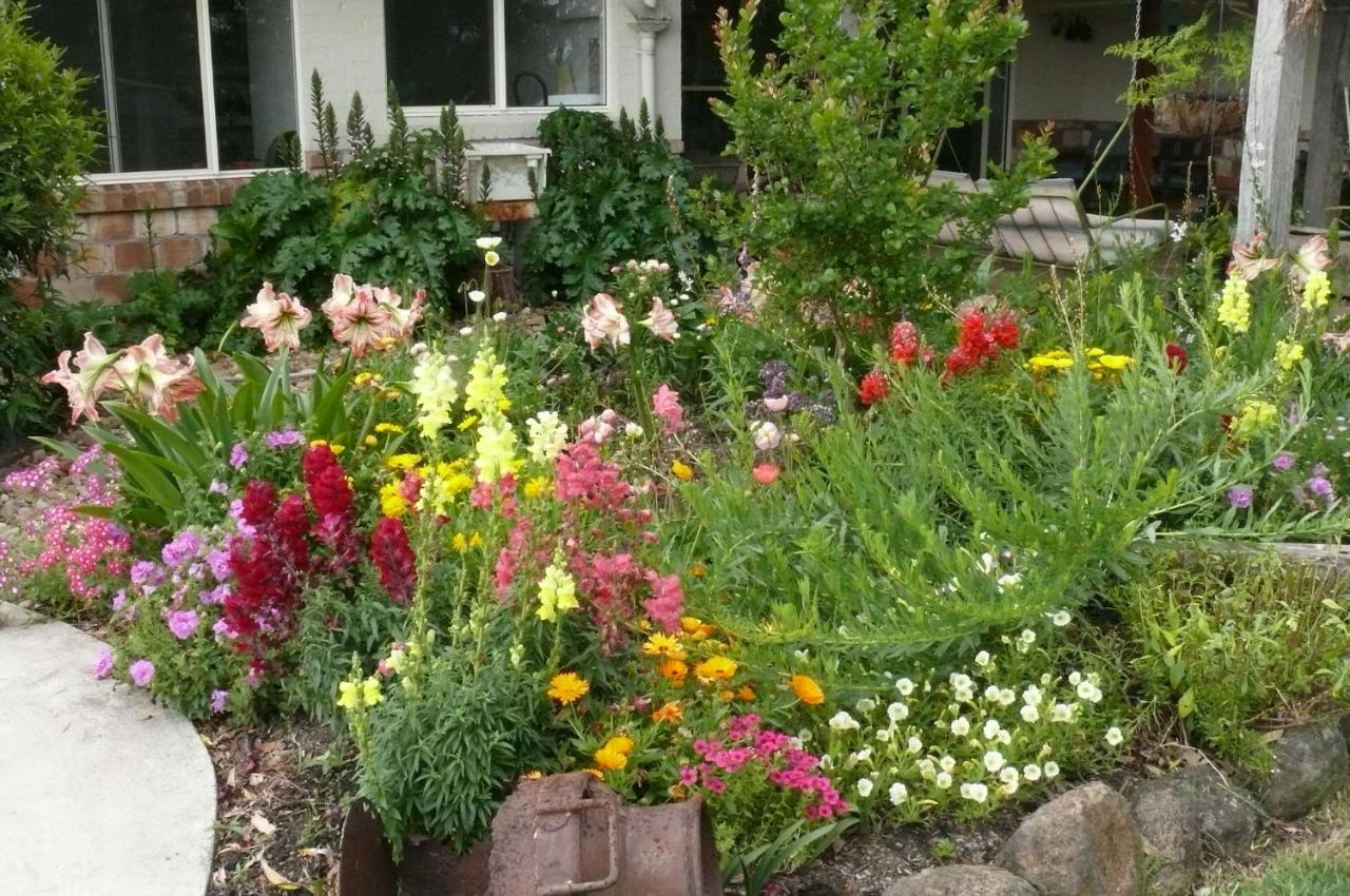 Beechmont Cedarview Bed & Breakfast المظهر الخارجي الصورة